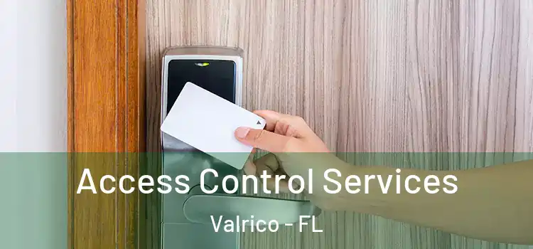Access Control Services Valrico - FL
