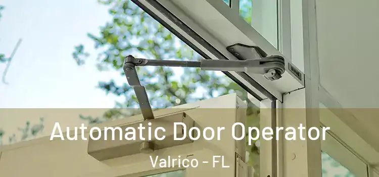 Automatic Door Operator Valrico - FL