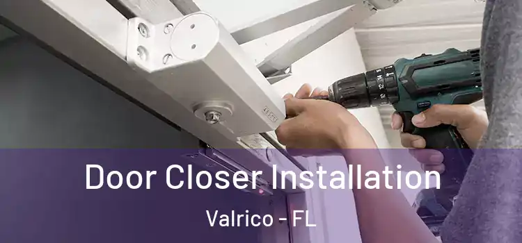 Door Closer Installation Valrico - FL