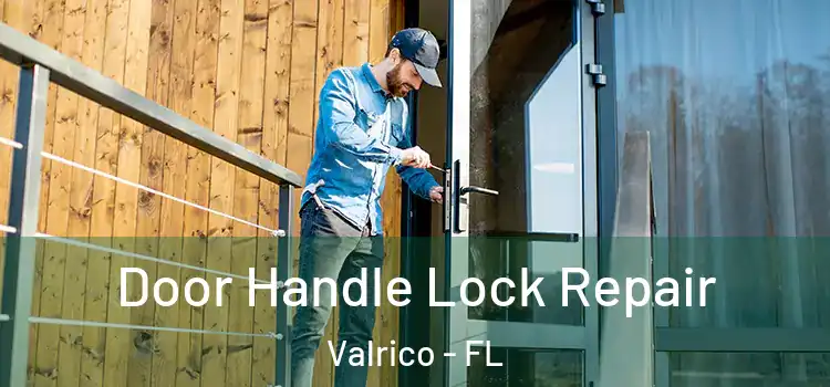 Door Handle Lock Repair Valrico - FL