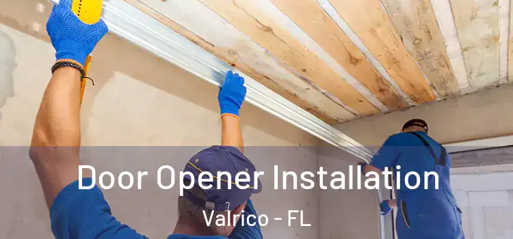 Door Opener Installation Valrico - FL