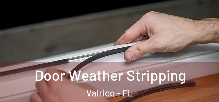 Door Weather Stripping Valrico - FL