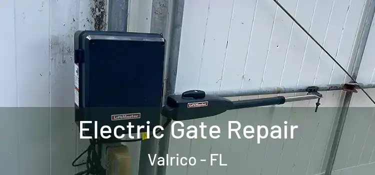 Electric Gate Repair Valrico - FL
