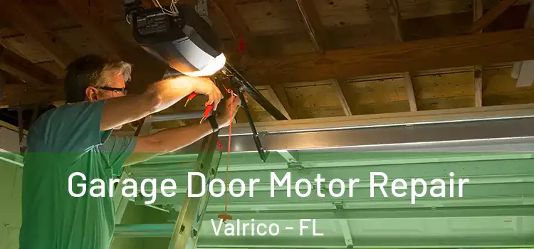  Garage Door Motor Repair Valrico - FL