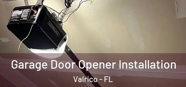  Garage Door Opener Installation Valrico - FL