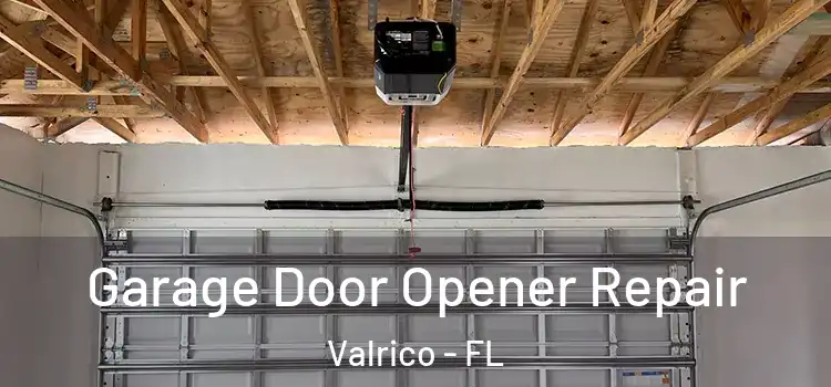  Garage Door Opener Repair Valrico - FL