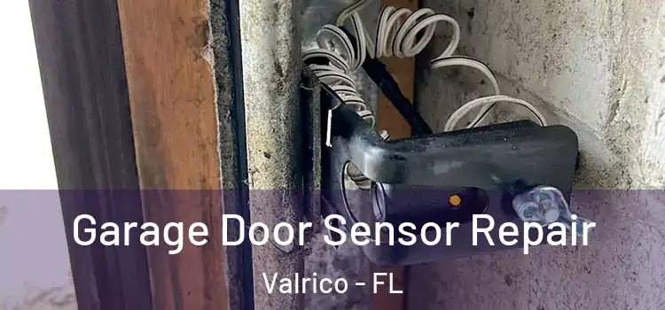 Garage Door Sensor Repair Valrico - FL