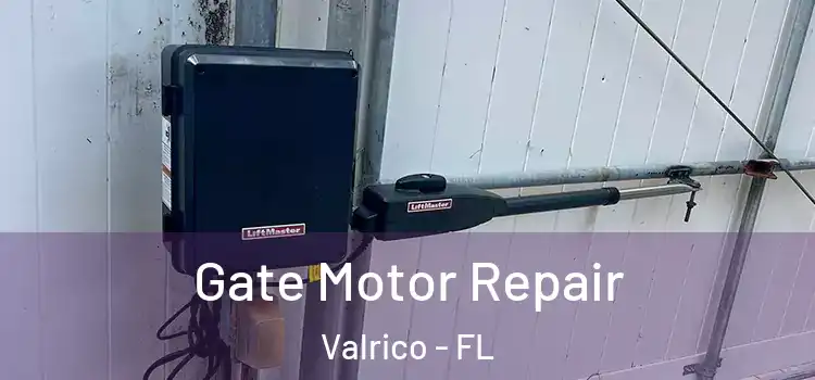 Gate Motor Repair Valrico - FL