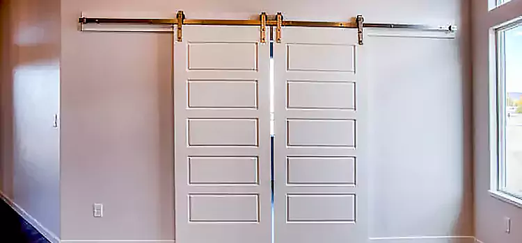 Glass Barn Door with Installation Hardware Kit Valrico