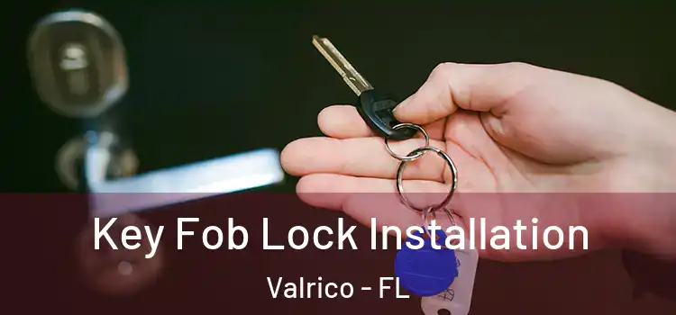 Key Fob Lock Installation Valrico - FL