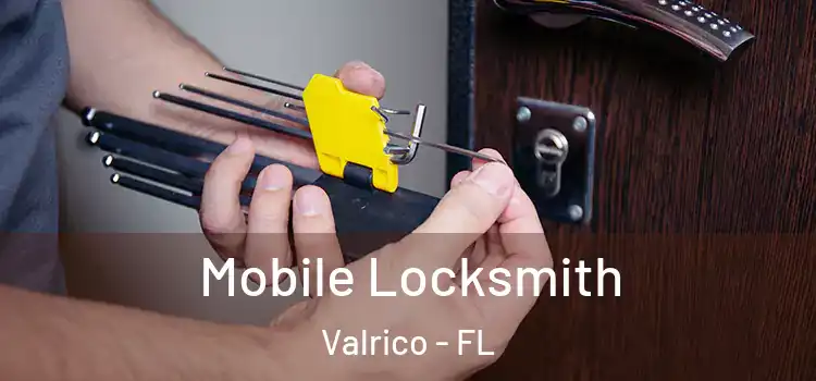 Mobile Locksmith Valrico - FL