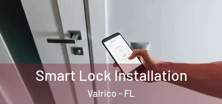 Smart Lock Installation Valrico - FL