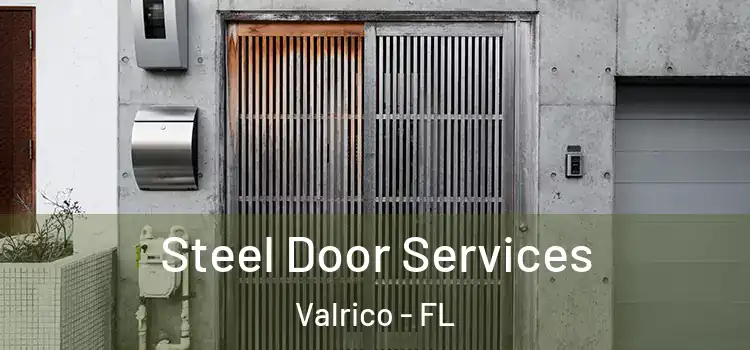Steel Door Services Valrico - FL